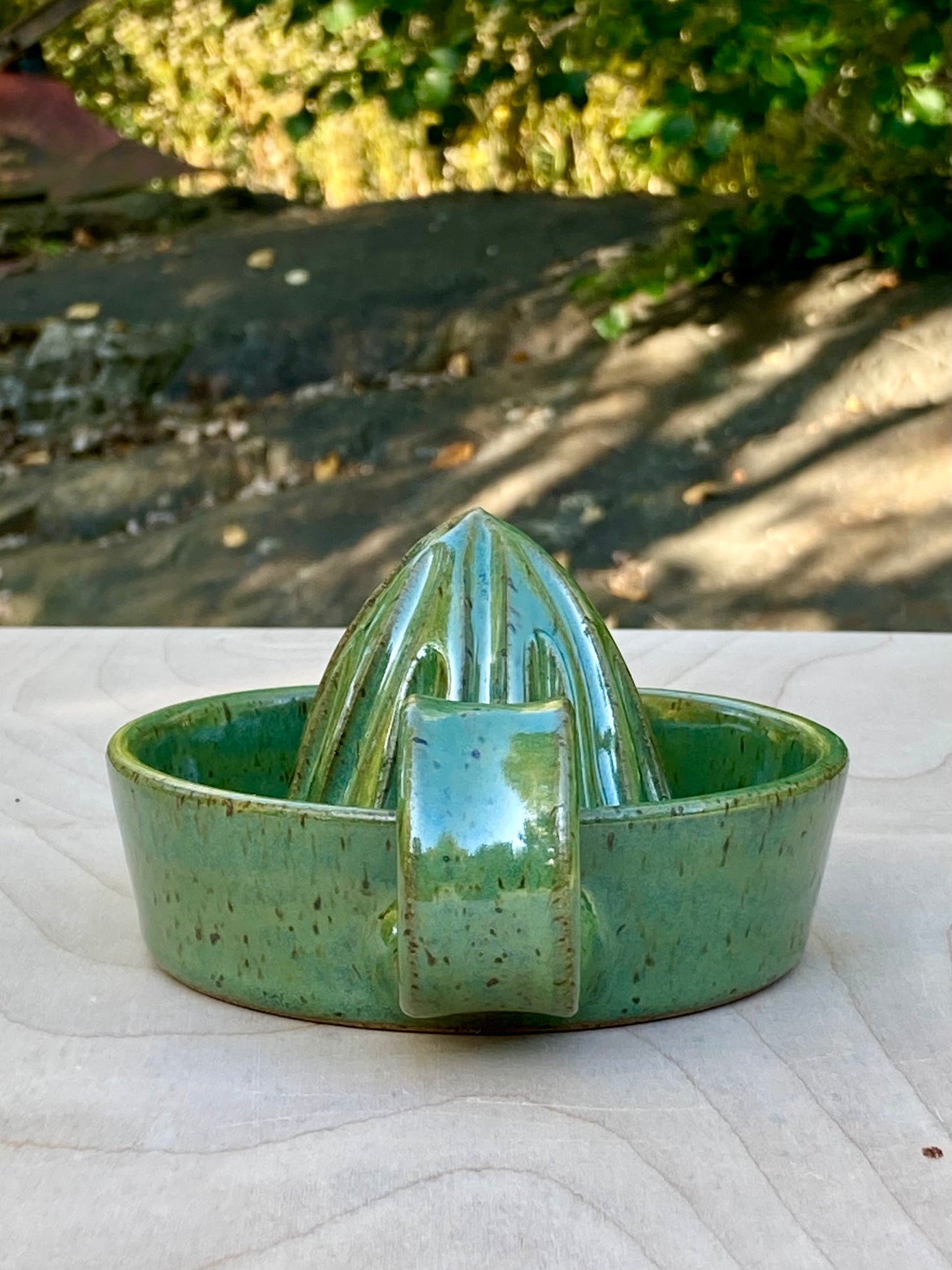 Citrus Juicer