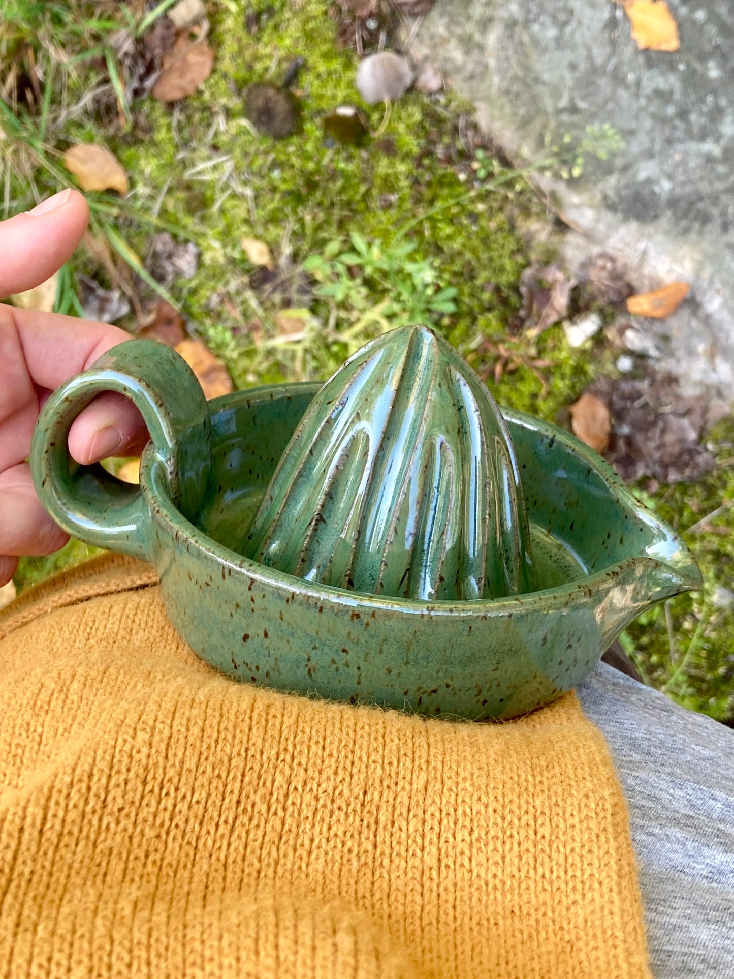 Citrus Juicer